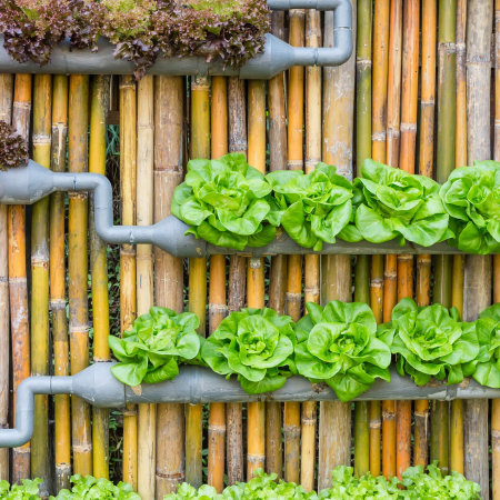 Aprenda como montar uma horta vertical em alguns passos