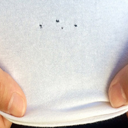 Tr�s receitas caseiras para dar adeus a tra�as e insetos