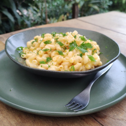 Macarr�o com queijo no micro-ondas