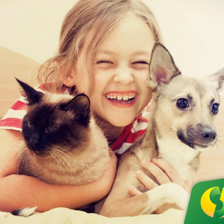 Feira para ado��o de c�es e gatos na Cooper Centro Indaial