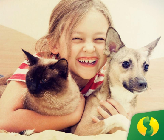 Feira para adoção de cães e gatos na Cooper Centro Indaial