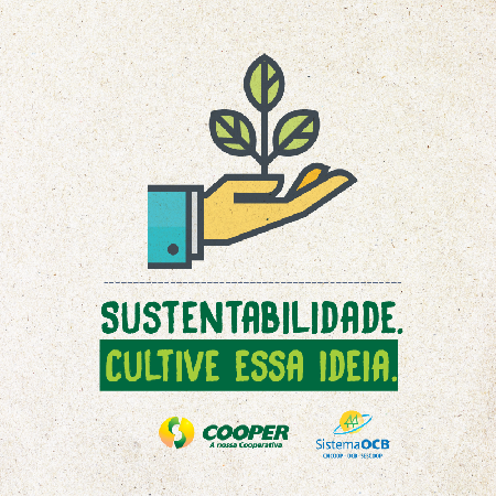 A��es de sustentabilidade marcam o Dia de Cooperar 2017 na Cooper